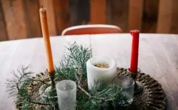 Survival Tips for Holiday Homecomings
