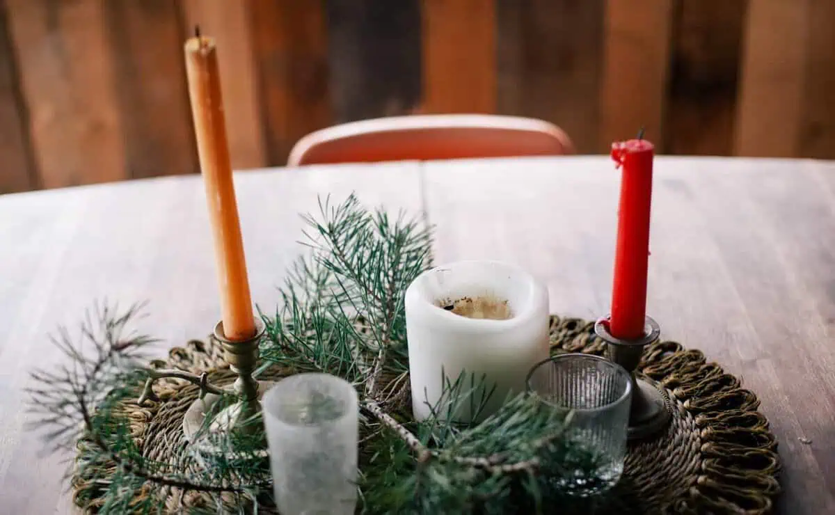 Survival Tips for Holiday Homecomings