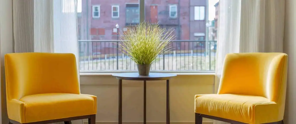 Psychologists vs Counselors