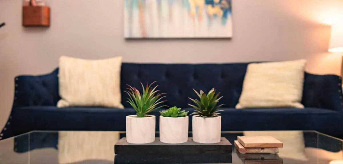 North Austin - Spicewood Springs Location - Just Mind Counseling Austin 8 Lobby sofa at Just Mind North Austin