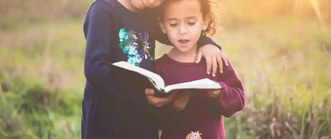 internal family systems model