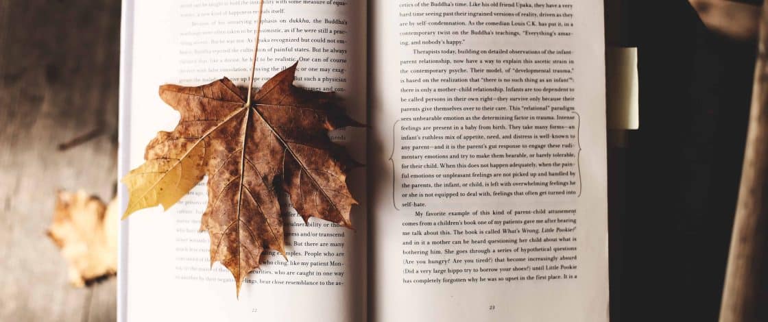 Biography visual data 2